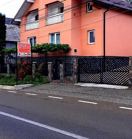 Pensiunea Anca Alsóróna Kültér fotó