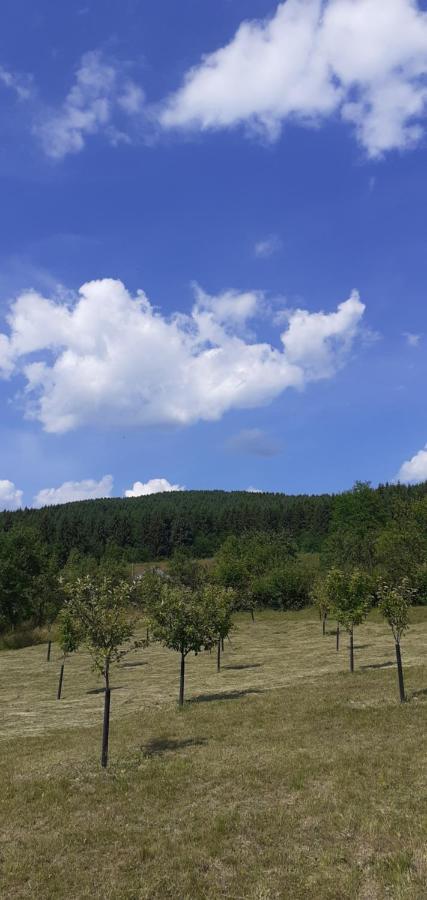 Pensiunea Anca Alsóróna Kültér fotó