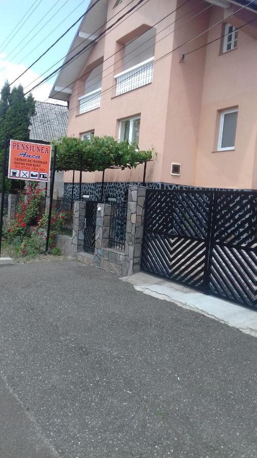 Pensiunea Anca Alsóróna Kültér fotó